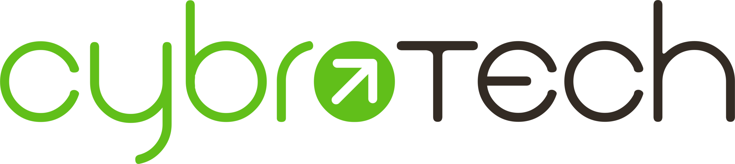 Cybrotech Logotype (1)